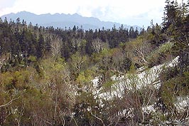 b7.jpg (22334 �o�C�g)