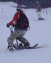 feb13p2.jpg (15301 �o�C�g)