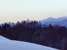 feb14p1.jpg (7199 �o�C�g)