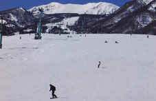 feb15p3.jpg (8018 �o�C�g)