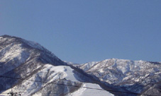 feb25p8.jpg (12558 �o�C�g)