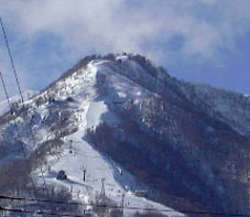 feb28p2.jpg (12392 �o�C�g)