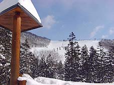 feb2a2.jpg (5217 �o�C�g)