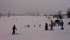 feb2a3.jpg (5041 �o�C�g)