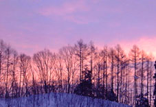 feb5a1.jpg (11982 �o�C�g)