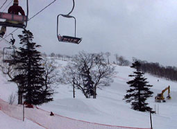 feb5tuga bp1.jpg (14303 �o�C�g)