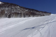 feba124.jpg (8093 �o�C�g)