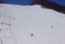 feba138.jpg (6651 �o�C�g)