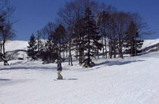 feba144.jpg (10443 �o�C�g)