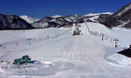 feba20.jpg (11542 �o�C�g)