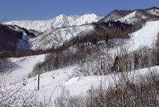 feba34.jpg (13694 �o�C�g)