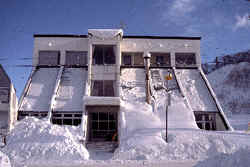 gaikan.a.gif (36102 �o�C�g)