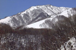 haru1.jpg (16038 �o�C�g)