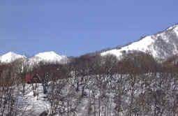 haru2.jpg (13222 �o�C�g)