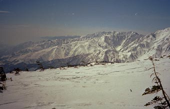 heri 10.jpg (14299 �o�C�g)