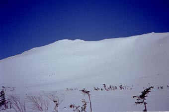 heri 12.jpg (9091 �o�C�g)