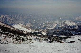 heri 15.jpg (18849 �o�C�g)