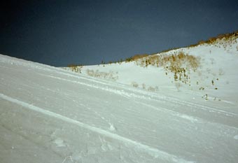 heri 17.jpg (11317 �o�C�g)