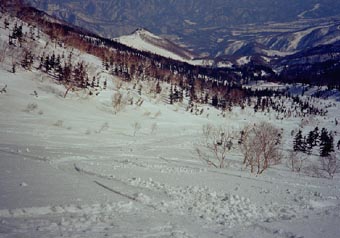 heri 19.jpg (22172 �o�C�g)