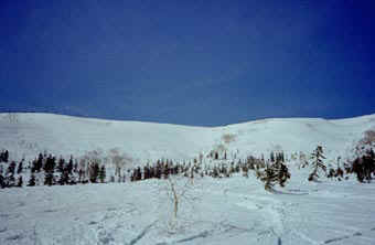 heri 20.jpg (13174 �o�C�g)