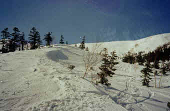 heri 21.jpg (18414 �o�C�g)