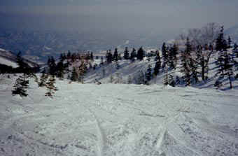 heri 22.jpg (17274 �o�C�g)