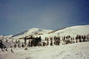 heri 23.jpg (15520 �o�C�g)