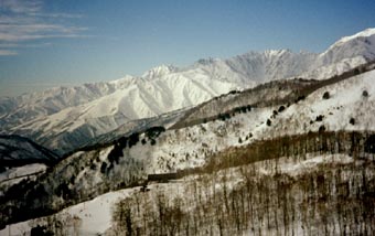 heri 4.jpg (20070 �o�C�g)