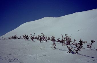 heri 9.jpg (10869 �o�C�g)