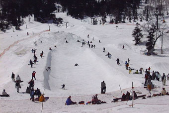 hp1.jpg (24776 �o�C�g)