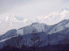 jan25a.jpg (6946 �o�C�g)