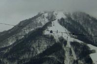 jan25b.jpg (5977 �o�C�g)