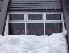 jan26.jpg (9268 �o�C�g)