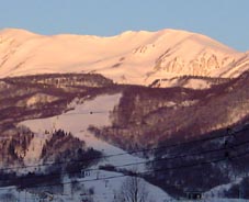 jan27a2.jpg (9965 �o�C�g)