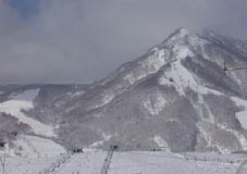 jan30a2.jpg (6377 �o�C�g)