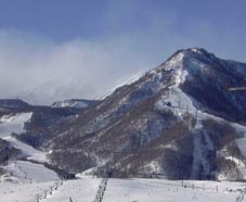 jan31p1.jpg (8874 �o�C�g)