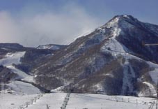 jan31p5.jpg (8267 �o�C�g)