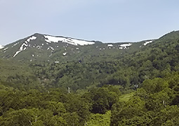 july3a13.jpg (22849 �o�C�g)