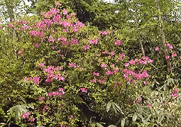 july3a14.jpg (46347 �o�C�g)