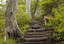 july3a140.jpg (36360 �o�C�g)