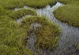 july3a150.jpg (35513 �o�C�g)