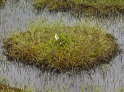 july3a156b.jpg (37946 �o�C�g)