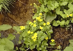 july3a18.jpg (37272 �o�C�g)