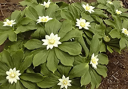 july3a26.jpg (34394 �o�C�g)