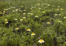 july3a30.jpg (47264 �o�C�g)