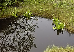 july3a39.jpg (33240 �o�C�g)