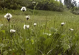 july3a44.jpg (34668 �o�C�g)