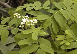 july3a61.jpg (26700 �o�C�g)