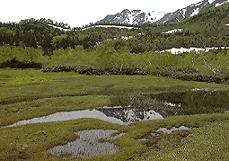 july3a65.jpg (30497 �o�C�g)