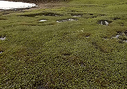 july3a69.jpg (43162 �o�C�g)